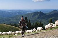 ROMANIA / Wallachia / Bucegi Natural Park / Shepar