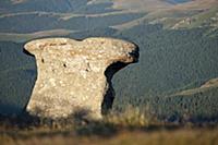 ROMANIA / Wallachia / Bucegi Natural Park / Conglo
