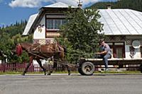 ROMANIA / Bukovina / Ciocanesti / traditional vill