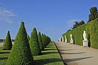 France / Ile-de-France / Yvelines / Versailles / 2