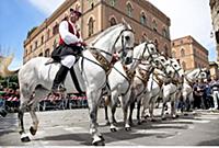 ITALY / Sardinia / ( Sueden ) / Cagliari / festiva