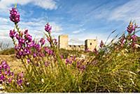 ITALY / Sardinia / ( Sueden ) / Cagliari / Castell