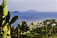 Italy / Pontine Islands / Ponza / 2015 / The Guard