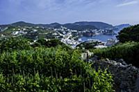 Italy / Pontine Islands / Ponza / 2015 / Wineyard 