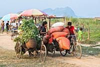 MYANMAR / Kayin State / Hpa-an / There are a lot o