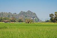 MYANMAR / Kayin State / Hpa-an / The capital of Ka