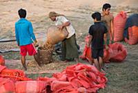 MYANMAR / Kayin State / Hpa-an / There are a lot o