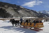 USA / Colorado / 2007 / Aspen. Horse-drawn sleigh 