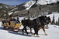 USA / Colorado / 2007 / Aspen. Horse-drawn sleigh 