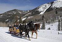 USA / Colorado / 2007 / Aspen. Horse-drawn sleigh 