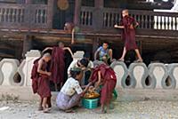 MYANMAR / Mandalay Division / Bagan / Novices buyi