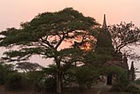 MYANMAR / Mandalay Division / Bagan / Sunset in th