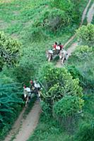 MYANMAR / Mandalay Division / Bagan / Tourists wit