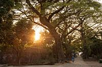 MYANMAR / Mon State / Mawlamyaing / Evening sun in