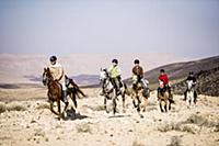 Israel / Negev Desert / Mizpe Ramon / 2014 / Alpac