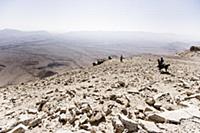 Israel / Negev Desert / Mizpe Ramon / 2014 / Alpac