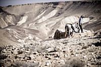 Israel / Negev Desert / Mizpe Ramon / 2014 / Alpac