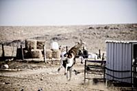 Israel / Negev Desert / Mizpe Ramon / 2014 / Alpac