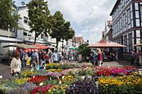 GERMANY / Lower Saxony / Nienburg / The popular Ni