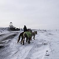 MONGOLIA / Ulan Bator/ 2013 / Where are all the no