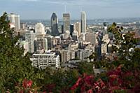 CANADA / Quebec / Montreal / 2010/11 / View from M