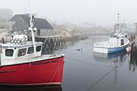 CANADA / Nova Scotia / Peggy's Cove / 2010/11 / Fi