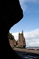 CANADA / New Brunswick / 2010/11 / Bay of Fundy / 