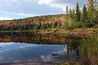 CANADA / Quebec / 2010/11 / Mauricie National Park