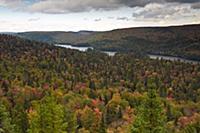 CANADA / Quebec / 2010/11 / Mauricie National Park