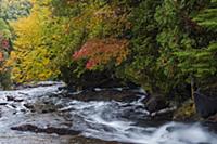 CANADA / Quebec / 2010/11 / Mauricie National Park