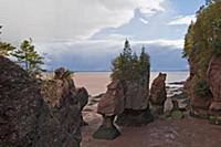 CANADA / New Brunswick / 2010/11 / Bay of Fundy / 