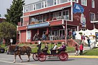 CANADA / Nova Scotia / 2010/11 / Lunenburg / Horse