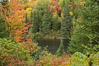 CANADA / Quebec / 2010/11 / Mauricie National Park