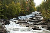 CANADA / Quebec / 2010/11 / Mauricie National Park