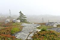 CANADA / Nova Scotia / 2010/11 / Peggy's Cove / Bo