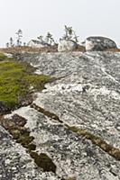 CANADA / Nova Scotia / 2010/11 / Peggy's Cove / Bo