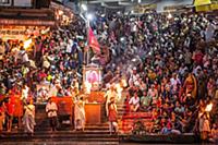 INDIA / Haridwar / 22.06.2016 / India Yoga Culture