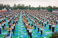 INDIA / Chandigarh / 21.06.2016 / India Yoga Cultu