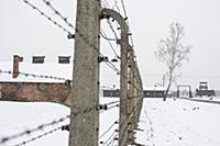 POLAND / Oswiecim / 06.12.2014 / Auschwitz-Birkena