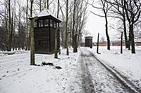 POLAND / Oswiecim / 06.12.2014 / Auschwitz-Birkena