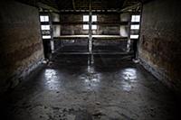 POLAND / Oswiecim / 06.12.2014 / Auschwitz-Birkena