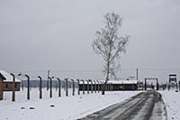 POLAND / Oswiecim / 06.12.2014 / Auschwitz-Birkena