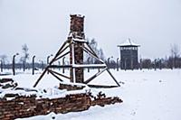 POLAND / Oswiecim / 06.12.2014 / Auschwitz-Birkena