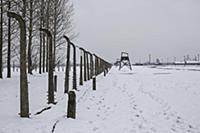 POLAND / Oswiecim / 06.12.2014 / Auschwitz-Birkena