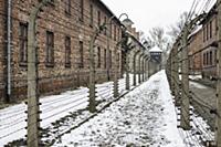 POLAND / Oswiecim / 06.12.2014 / Auschwitz-Birkena
