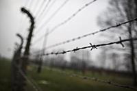 POLAND / Oswiecim / 06.12.2014 / Auschwitz-Birkena