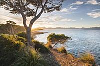 Evening mood at S'Illot, bay of Pollenca, Mallorca