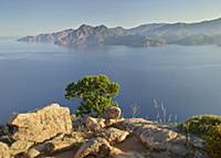 Les Calanques de Piana, the Golfe de Porto, Corsic