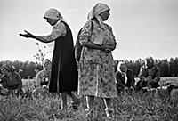 На протяжении 600 лет, каждое 3-ье июня, православ