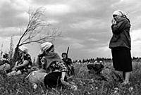 На протяжении 600 лет, каждое 3-ье июня, православ